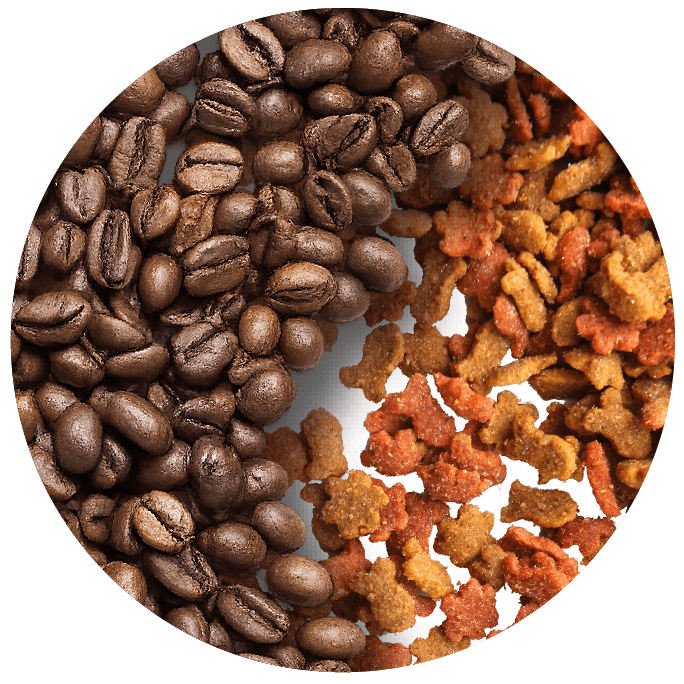 food pet food
